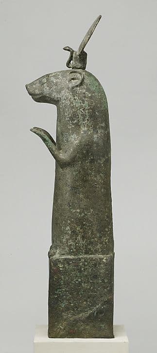 An otter with tags: otter