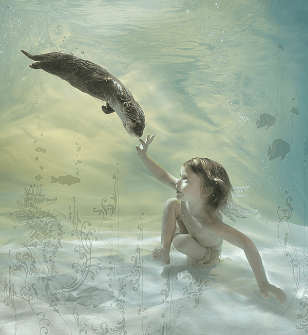 An otter with tags: otter